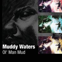 Kind earted Woman - Muddy Waters