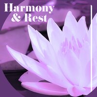 Harmony - Guided Meditation Music Zone