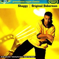 Lately - Shaggy, Rayvon