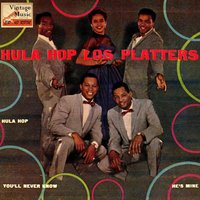 You'll Never Know (Nunca Sabrás) - The Platters