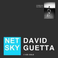 Ice Cold - Netsky, David Guetta