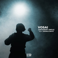 Different Angle - Vosai