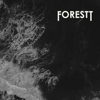 To the Sea - FORESTT