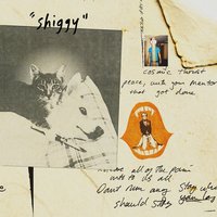 Shiggy - Stephen Malkmus & The Jicks