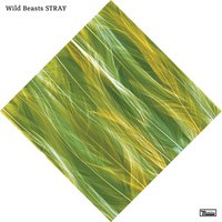 Stray - Wild Beasts