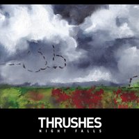 Weather Vane - Thrushes
