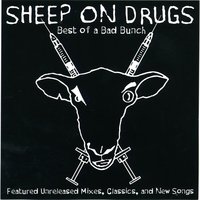 Motorbike - Sheep on Drugs