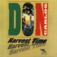 Magic Man - Don Carlos