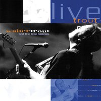 Finally Gotten Over You - Walter Trout