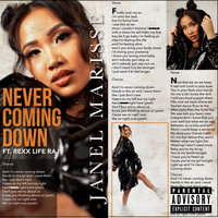 Never Coming Down - Janel Marisse, Rexx Life Raj