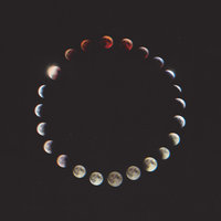 The Whole Of The Moon - Mystery Jets