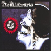 So Into You - The Wildhearts