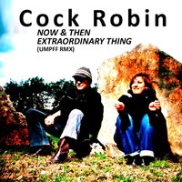 Extraordinary Thing - Cock Robin, Umpf