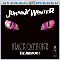 Come On In My Kitchen - Johnny Winter