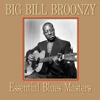 Hollerin' The Blues - Big Bill Broonzy
