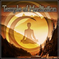 Yoga Harmony - Meditation Awareness