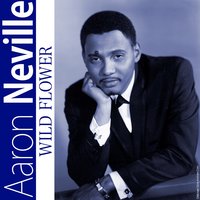 Ticks Of The Clock - Aaron Neville