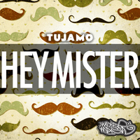 Hey Mister - Tujamo