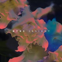 Insight - MTNS