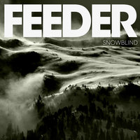 Snowblind - Feeder