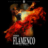 Flamenco - Animus