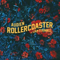 Rollercoaster - Audien, Liam O'Donnell