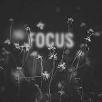Focus - Deorro, Lena Leon