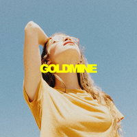 Goldmine - Palastic
