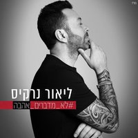 לא מדברים אהבה - Lior Narkis