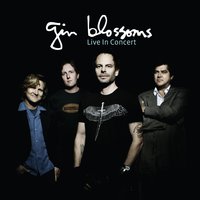 Learning The Hard Way - Gin Blossoms