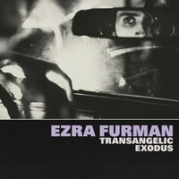 Suck the Blood from My Wound - Ezra Furman