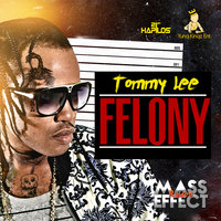 Felony - Tommy Lee Sparta