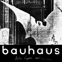 Some Faces - Bauhaus
