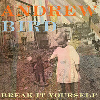 Lazy Projector - Andrew Bird