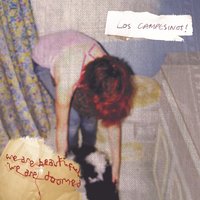 Documented Minor Emotional Breakdown # 1 - Los Campesinos!