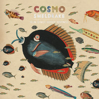 Run Rings Right Wrongs - Cosmo Sheldrake