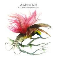 The Nightshade Gets in It - Andrew Bird