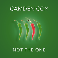 Not The One - Camden Cox