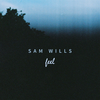 Feel - Sam Wills