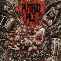 My Semen Rots in You - Putrid Pile