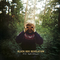 Skin - Black Box Revelation