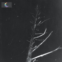 Colours of the Night (Satellite) - Peter Broderick
