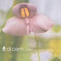 Romantic Love - DJ Cam