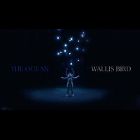 The Ocean - Wallis Bird