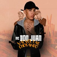 Vai Voltar Chorando - MC Don Juan