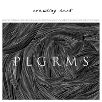 Crawling Back - PLGRMS