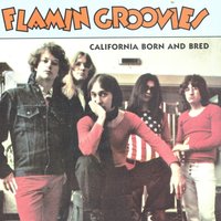 Shakin' All Over - Flamin' Groovies