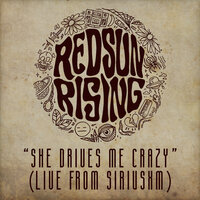 She Drives Me Crazy - Red Sun Rising