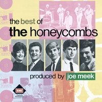 The Honeycombs