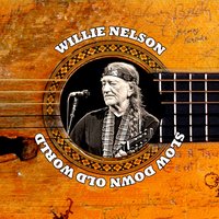 I Feel So Sorry For Him - Willie Nelson